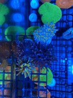 58086545-487A-4947-AC08-9083F2180091.jpeg