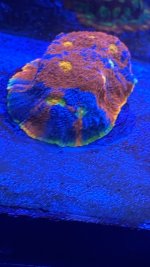 509A50C6-4D35-4EDB-BFCE-C53F650F5A0F.jpeg