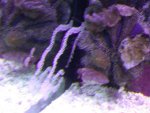 dscn3845r.jpg