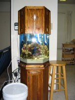 full tank shot.jpg