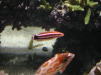 dscn4151.jpg