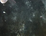 clarkii-day9-2.jpg