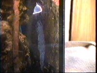 eggs2.jpg