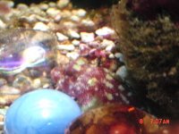 fish3.jpg