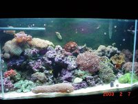dsc02106-1.jpg