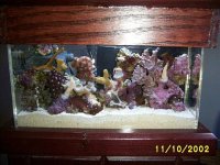 mreef75close11-11.2.jpg