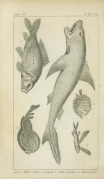 plate001.jpg