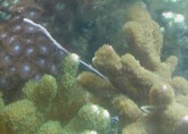 dscn3139.jpg