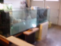 back of tank03 (2).jpg