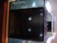 back of tank03.jpg