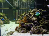 reef27.jpg