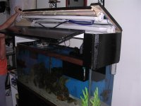 canopy open lights off (medium).jpg