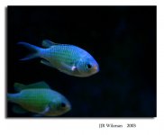 aquaria-(18-aug)-016_rs.jpg