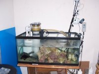 sump.jpg