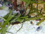 dscn3397.jpg