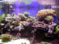 dscn6509.jpg