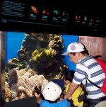 photo7_new clownfish tank inside_7_23_02.jpg