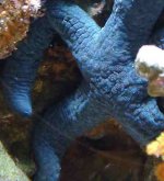 dscf0061_1.jpg