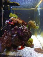 dad's reef left side.jpg