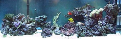 12-06-02 entire tank.jpg