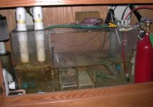 sump pic.jpg