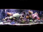 tank pic.jpg