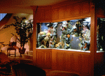 res6.gif