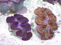 dscn4089.jpg