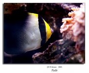 aquaria-(30-aug)-039.jpg