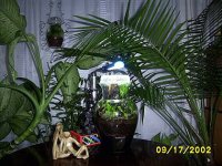 terrarium.jpg