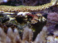 s fish.1.jpg