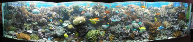 panoramic view front of tank.jpg