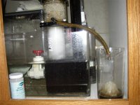 skimmer%20in%20action[1].jpg