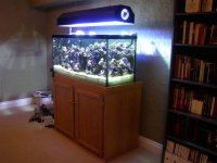 tank%20far%20right[2].jpg