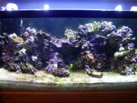 tank%20mid%20view[3].jpg