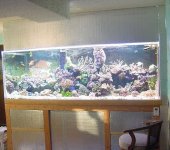 tank-w-stand-1-03.jpg