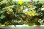 dsc00089.jpg