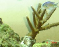 dsc00090.jpg