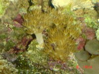 dsc00095.jpg