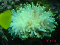 dsc00096.jpg