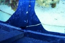 center brace formatted0001.jpg