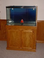 dsc01308.jpg