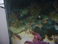 img_0003.jpg