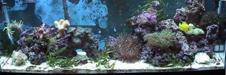 1-20-03 tank.jpg