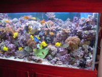 fish6.jpg
