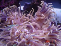 dsc01257.jpg