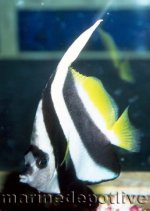 marinedepotlive_1726_10159635.jpg