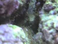 dsc00013.jpg