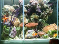 tank pictures 019.jpg