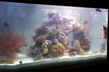 120right (small).jpg